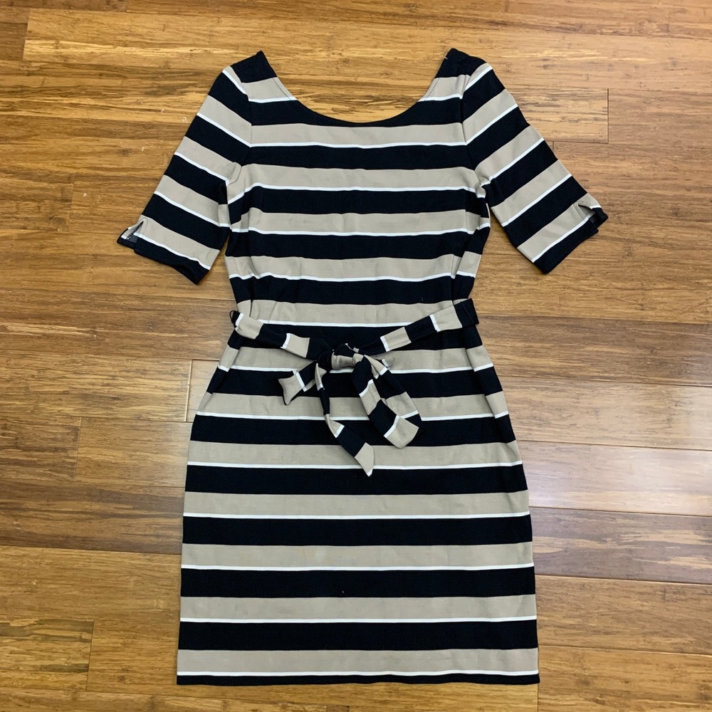 Banana Republic Striped Dress Womens Size Medium Sheath Career Casual Belted